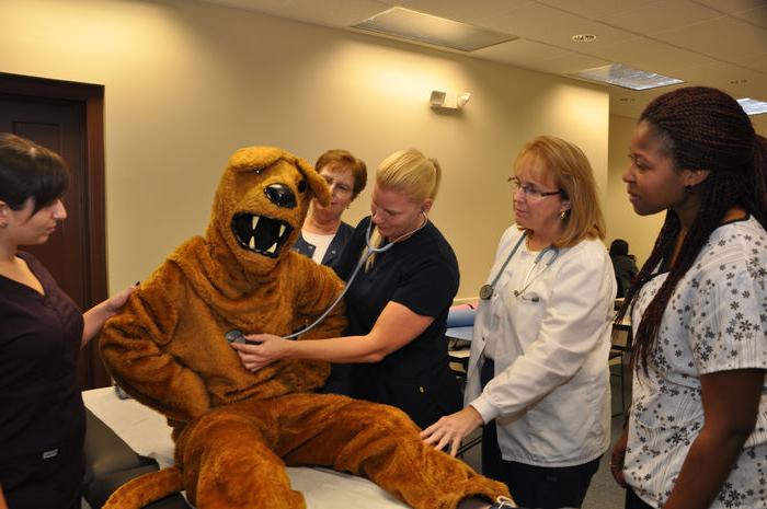 Nittany Lion being examed by nurses